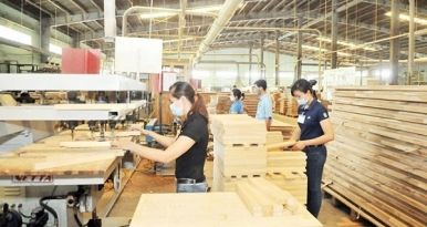   Nhiều triển vọng phát triển cho ngành sản xuất gỗ Việt Nam